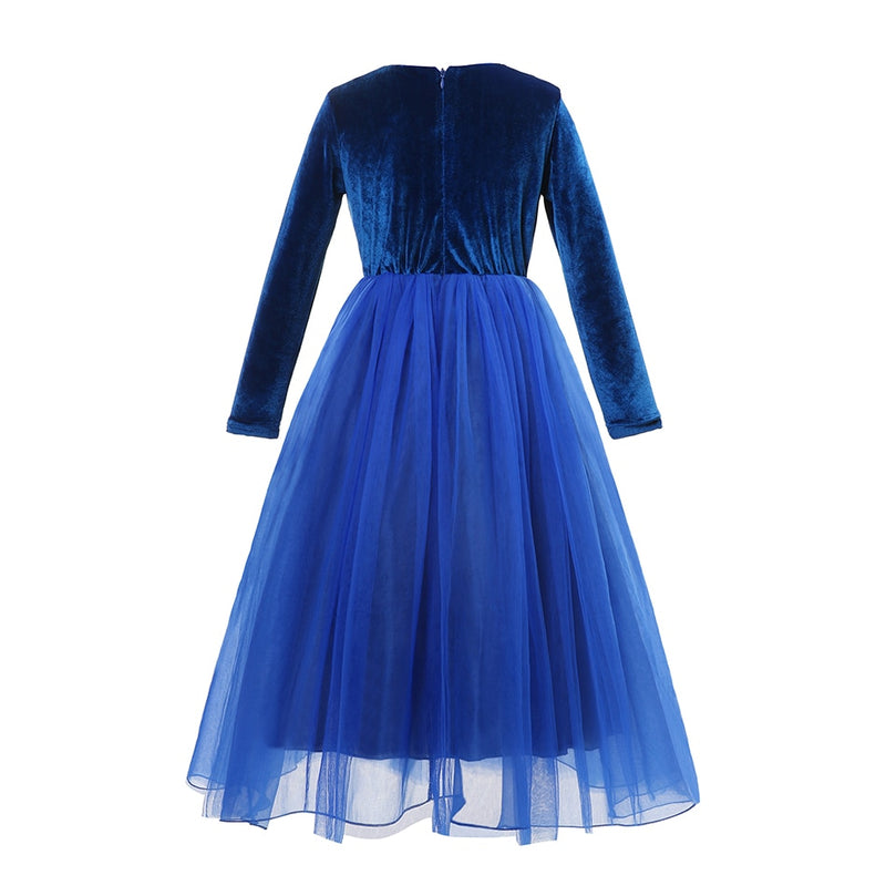 Robe Elsa Reine des Neiges velours